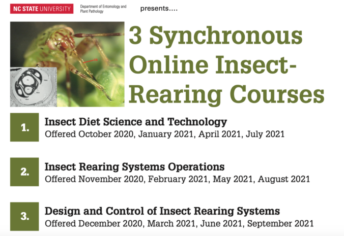 What’s new in Insect Rearing Education? – We Rear Insects